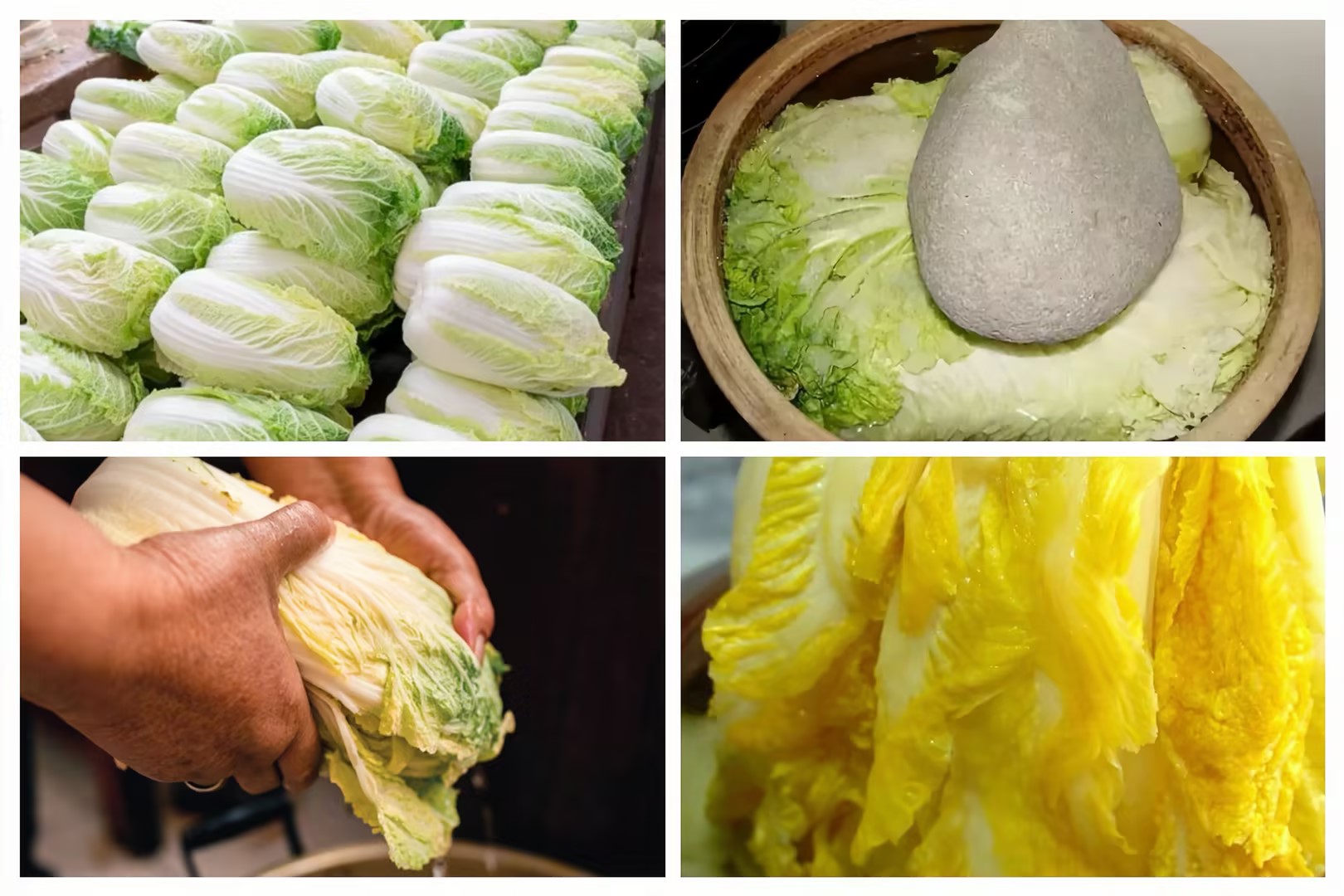 051764919397947744.jpg 6d061caf-f5d9-40f7-8754-082c26099d1a.jpg